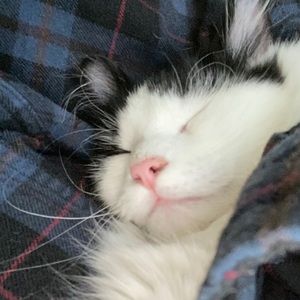 Meet your Posher, Gabrielle